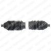 DELPHI TBR3079 Bellow Set, steering